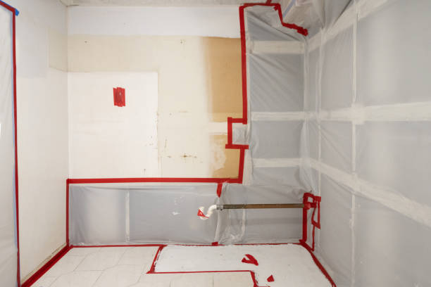 Best Mold Removal for HVAC Installations  in Homer City, PA