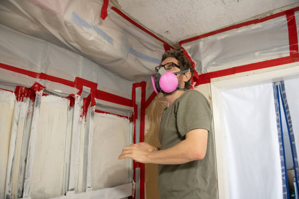 Mold Documentation for Insurance Claims in Homer City, PA