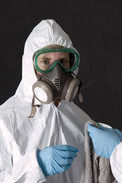 Best Mold Remediation for Healthcare Facilities  in Homer City, PA